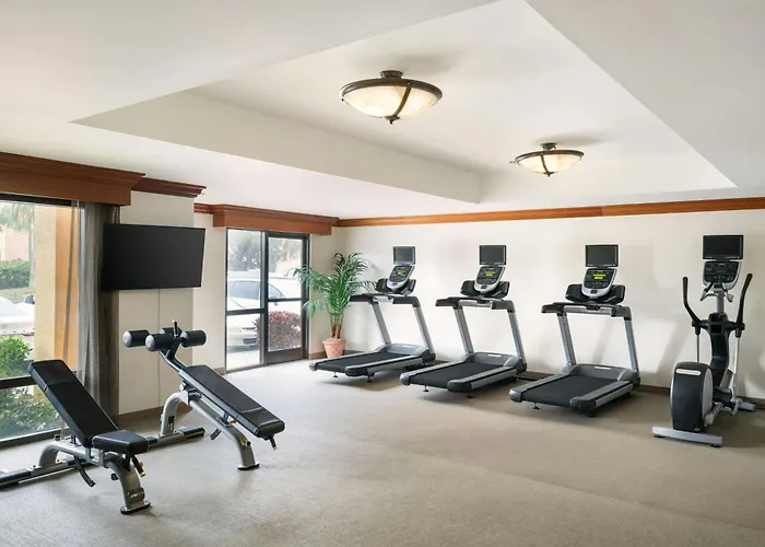 Springhill Suites By Marriott Tampa Westshore